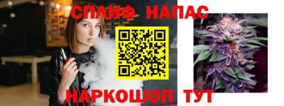 прущие грибы Камышлов