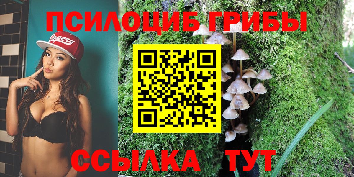 Луга  Галлюциногенные грибы прущие грибы  купить наркотики цена  Псилоцибиновые грибы мицелий  Вход с VPN 