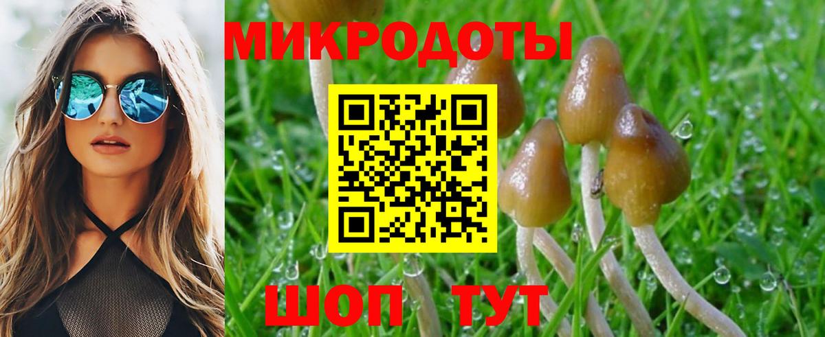 Псилоцибиновые грибы ЛСД Луга